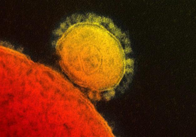 No MERS case in Turkey yet