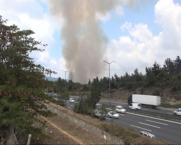 Second fire in two days in Istanbul woodland, near FSM bridge