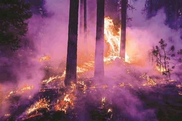 US fire expected to burn deeper into park