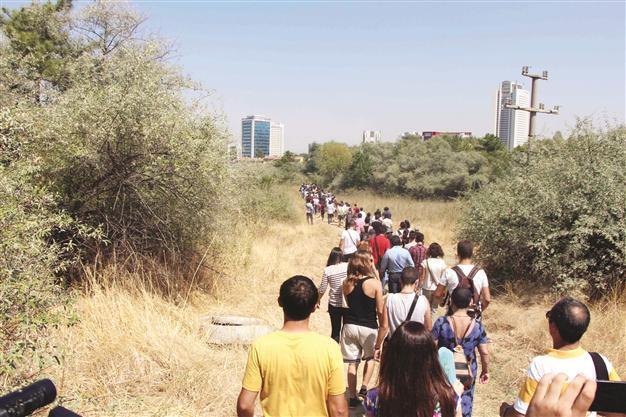 Road through Turkeys ODTÜ forest awaits approval