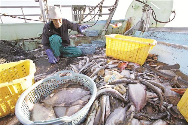 Sout Korea bans more Japan fishery products from near Fukushima on eve of Olympic decision