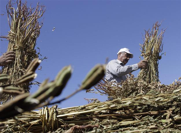 Israel okays 5,000 West Bank Palestinian work permits