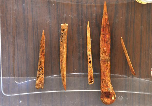 Ancient hippopotamus teeth found in Antalya