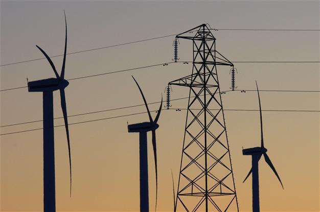Bulgaria faces European Court of Justice over wind farm threat to birds