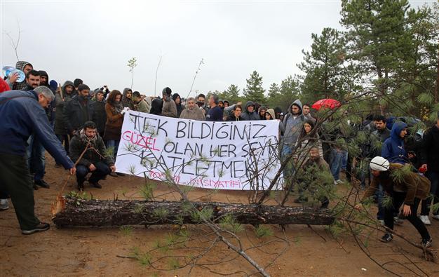 Protesters plant trees where Ankara municipality cut them down on ODTÜ land