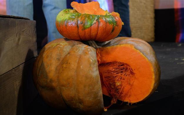 Cinderella’s Cucurbit Cart