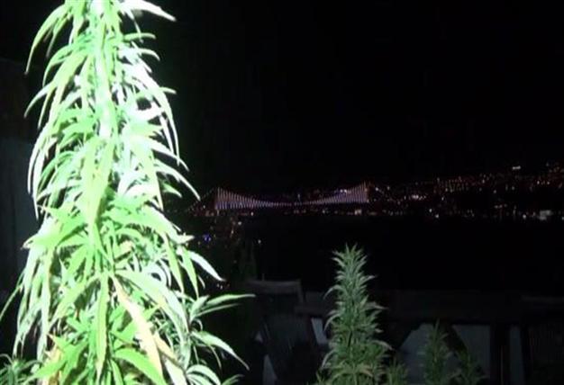 Cannabis discovered at Istanbul flat in celebrity narcotics operation