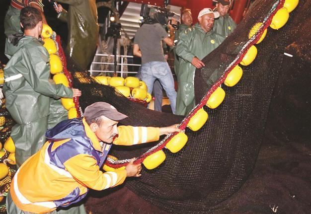 Turkeys fishermen head for sea as seasonal fishing ban ends