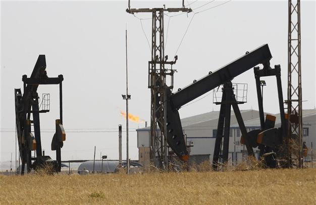 Turkish firm finds oil in southeastern well