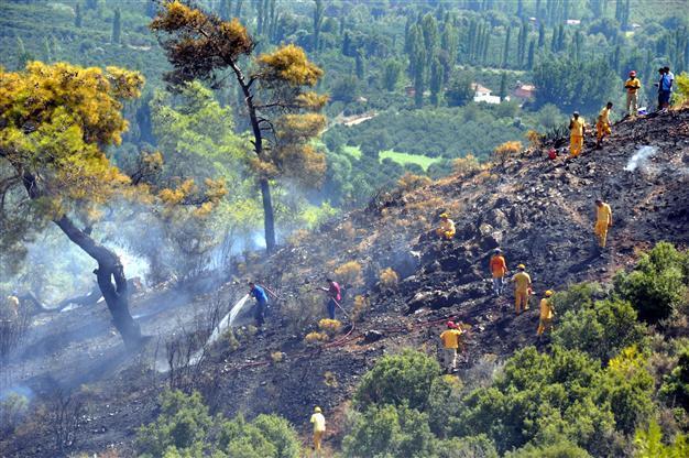 Forest fires continue to destroy green areas nationwide