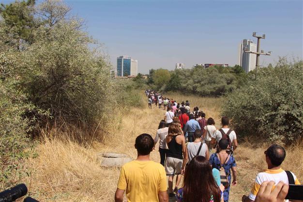 3,000 trees in Ankaras Middle East Technical University to be cut in road plan