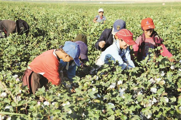 Main opposition CHP seeks inquiry into child abuse, smuggling
