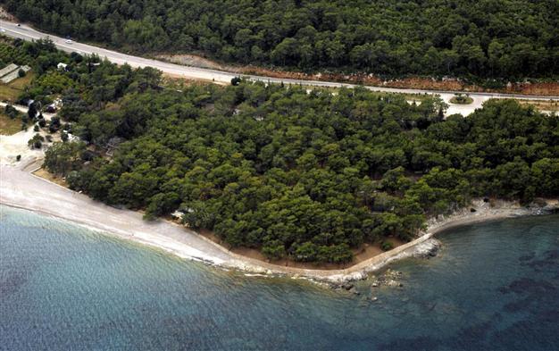 Turkish General Staff mobilized for planting of millions of trees