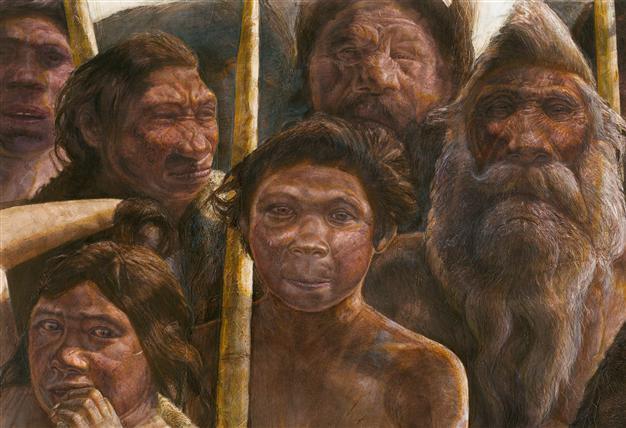 Ancient DNA from human relative sets age record