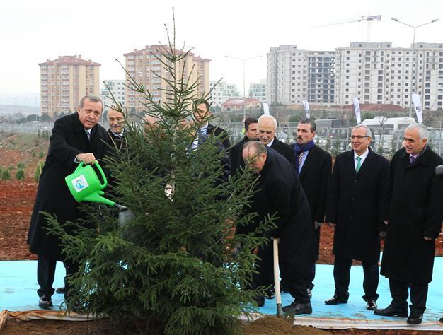 PM Erdoğan plants trees of national will as response to ‘violent demos under the excuse of trees’