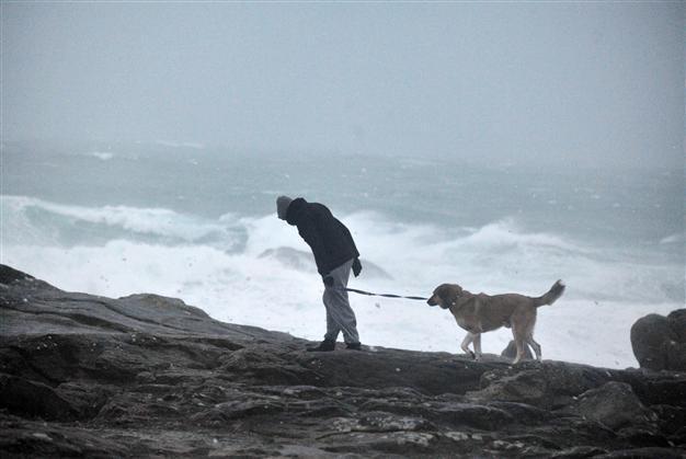 Storm damage deprives 240,000 homes of power in France
