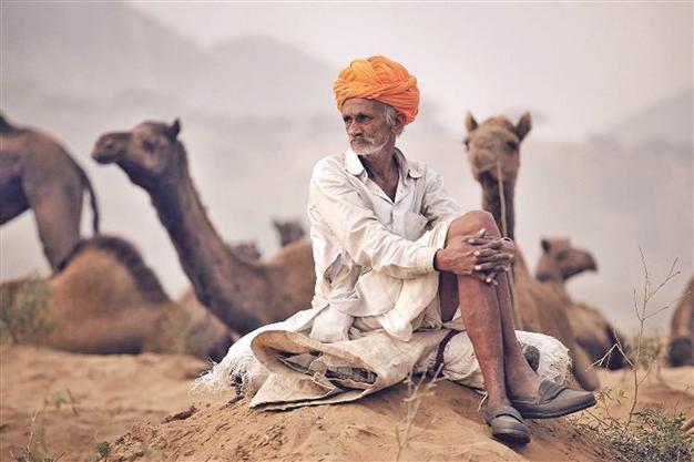 Photographs bring India to Istanbul
