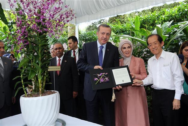 Orchid at Singapore Botanic Park named after Turkish PM Erdoğan and his wife