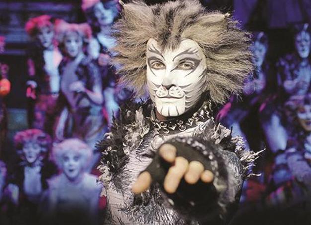 Cats to purr on Istanbul stage