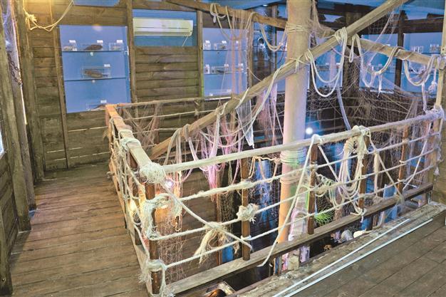 Turkey’s first sea creatures museum opens in Antalya