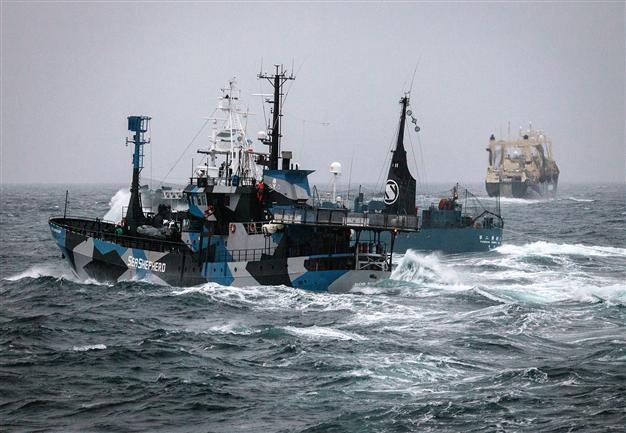 Japan asks Netherlands to act against anti-whalers