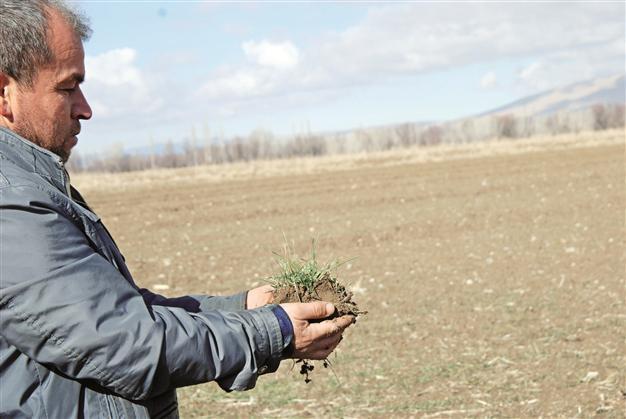 Farmers in Turkey pressure for drought insurances