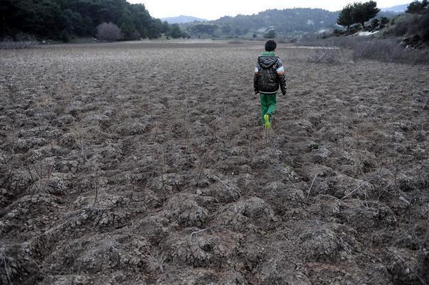 Turkish businesses should take heed of climate change: EBRD report