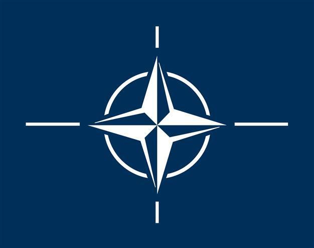 NATO websites targeted in attack claimed by Ukrainian hackers