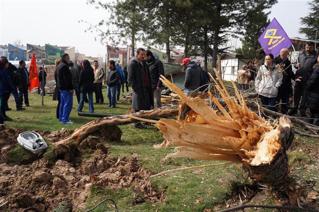 Midnight raid on Ankara theater campus results in cutting of dozens of trees