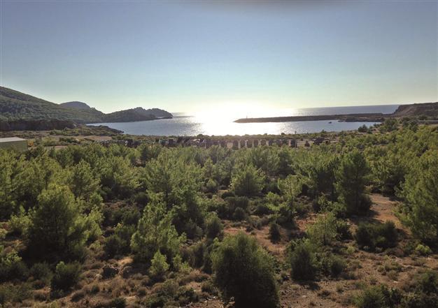 Turkey tenders tech firms for Akkuyu plant