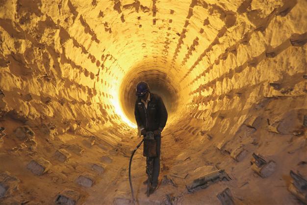 Local cement firms eye assets after huge merger