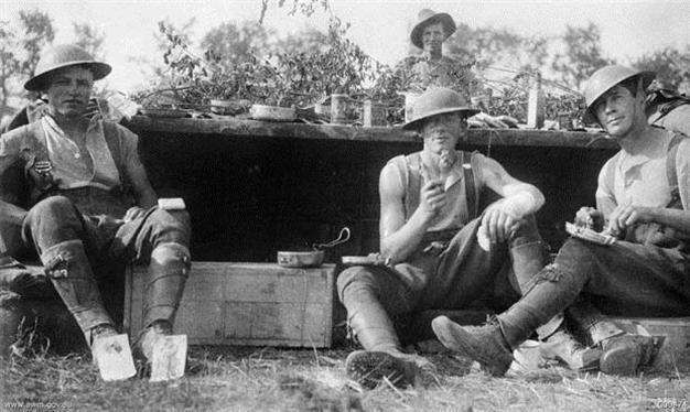 Biscuit crumbs in trenches