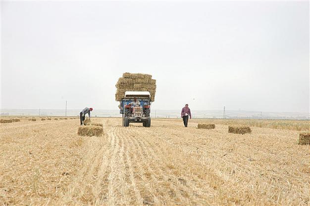 Government postpones disaster-hit farmers’ debt payments