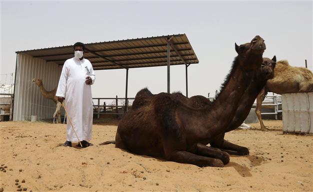 Saudi Arabia reports 10 more deaths from MERS virus, 20 other cases