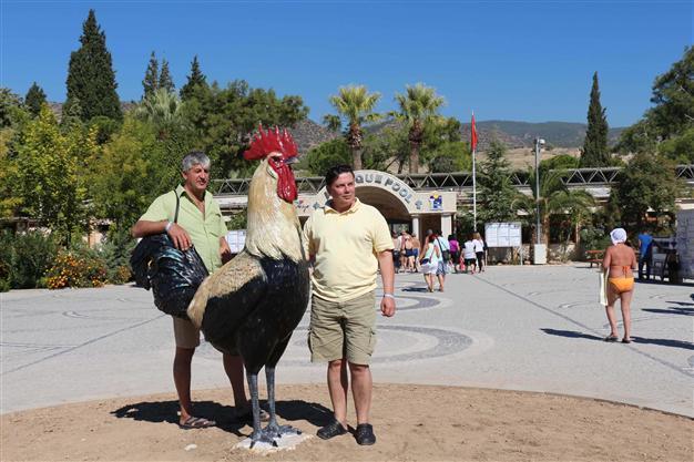 Rooster sculpture in Turkey’s ‘cotton castle’ to be removed
