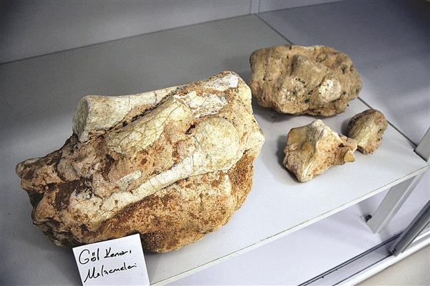 Project to reveal central Anatolian history