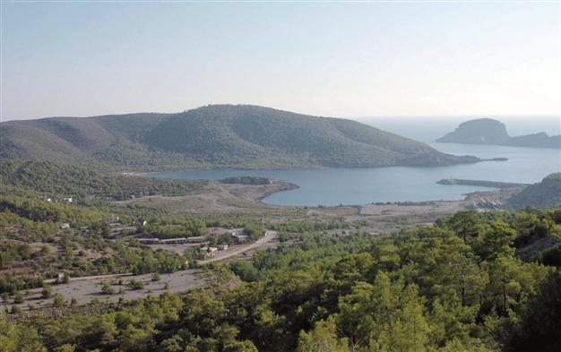 Environmentally disputed Turkish nuclear plant project vows to protect seals, turtles