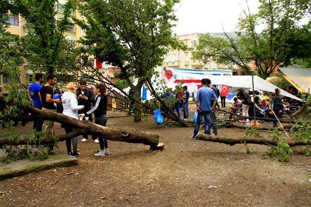Court grants stay of execution for gas station construction on green area in Black Sea province