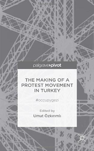 The making of Turkey’s Gezi protests