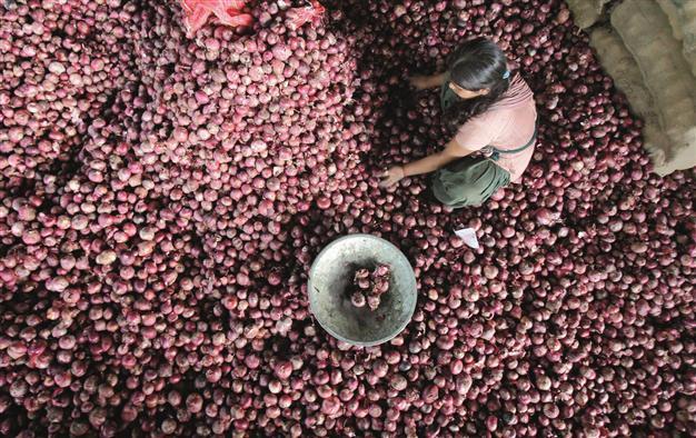 Food inflation to slow on higher crop: International bodies