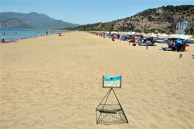 Activists gather over 38,000 signatures against privatization of protected beach