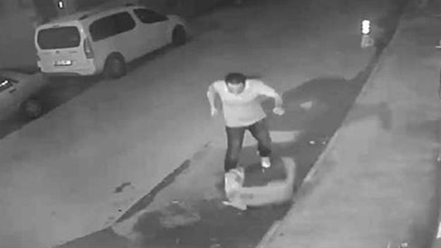 Animal activists protest man captured by video while beating stray dog to death