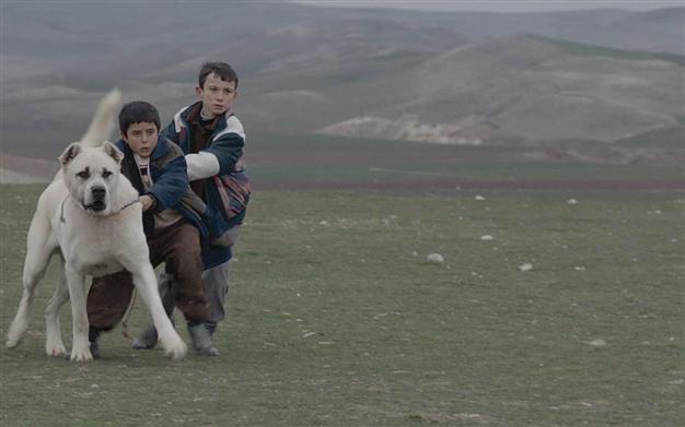 Turkish cinema now a regular in Venice Film Festival