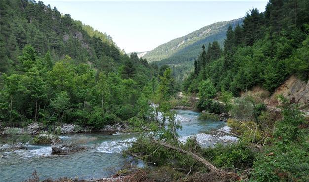 Ministry forbids hydroelectric plants on protected areas housing rare species