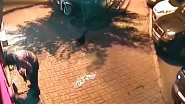 CAUGHT: Woman detained after killing two stray kittens in Istanbul