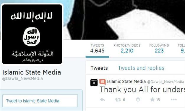 ISIL mouthpiece surrenders to Turkish, Kurdish trolls