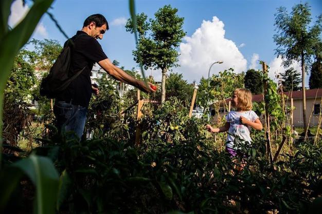 Parking lot project on Istanbul vegetable garden canceled after public uproar