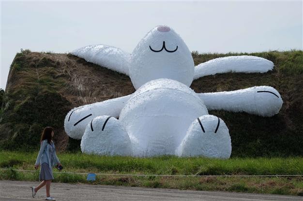 Hofmans giant white rabbit wows Taiwan