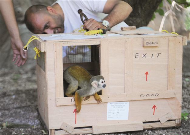 Antalyas Eko Park welcomes monkeys from South America
