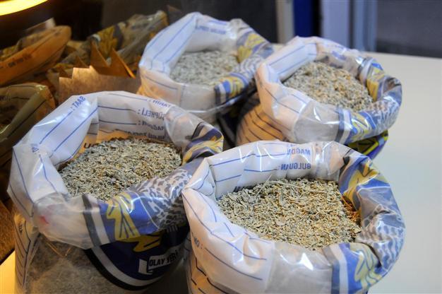 14-year-old arrested for selling bonzai in Istanbul